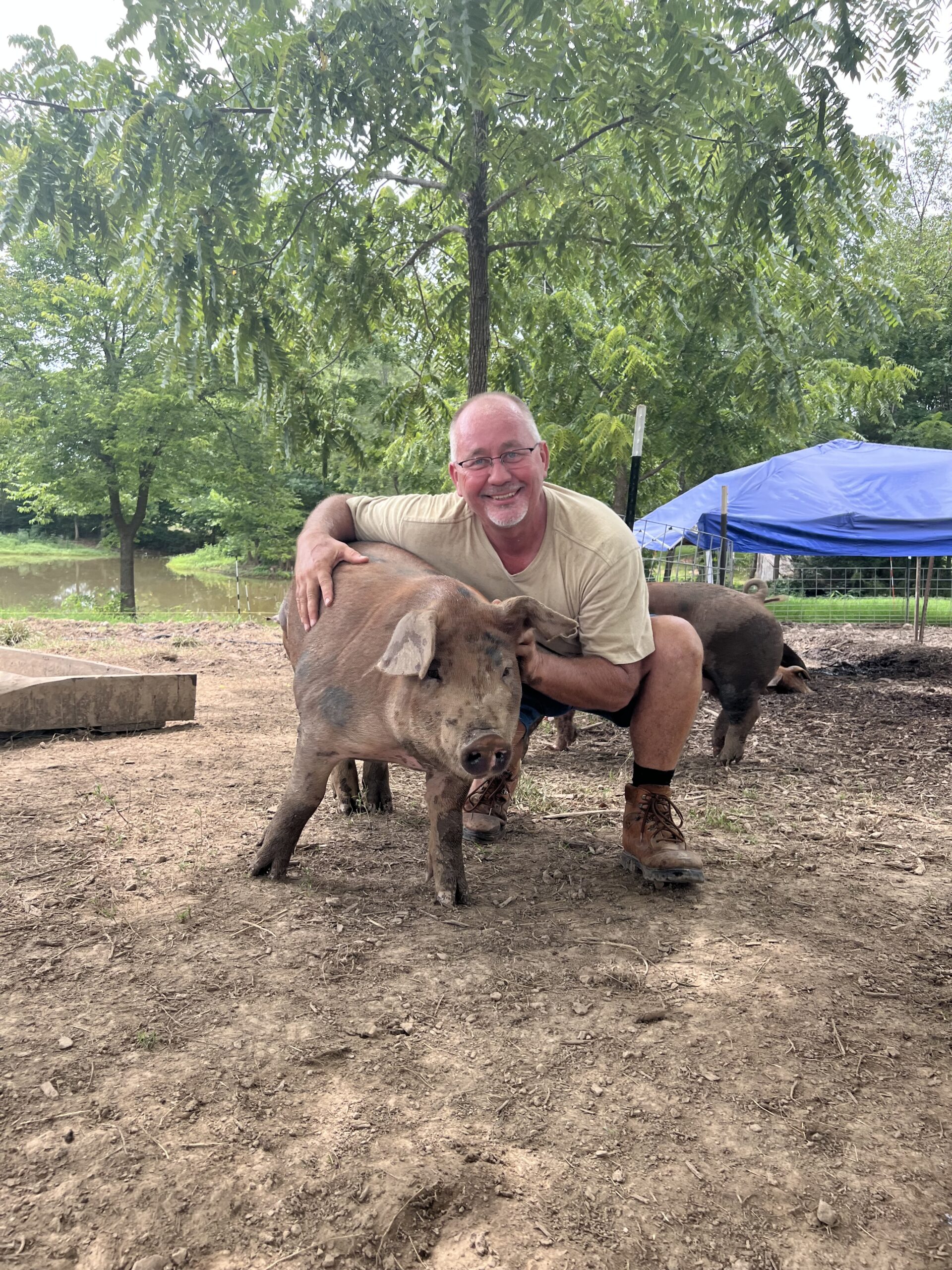 Man smiling and hugging a pig on a farm, surrounded by greenery and other pigs in the background, showcasing a connection with farm animals and rural life.